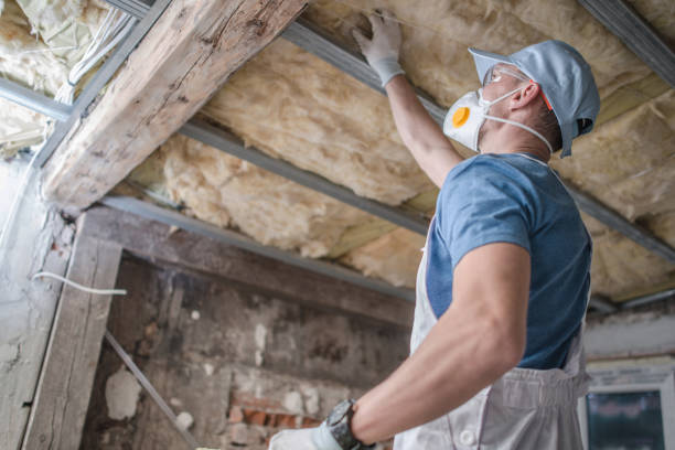 Best Geographic-Specific Insulation Services in Gibbon, NE