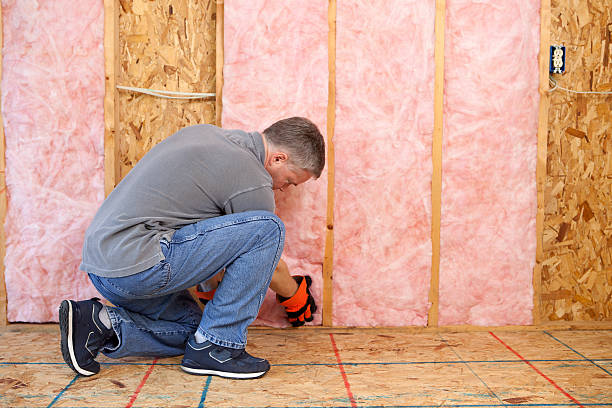 Best Insulation Maintenance and Repair in Gibbon, NE